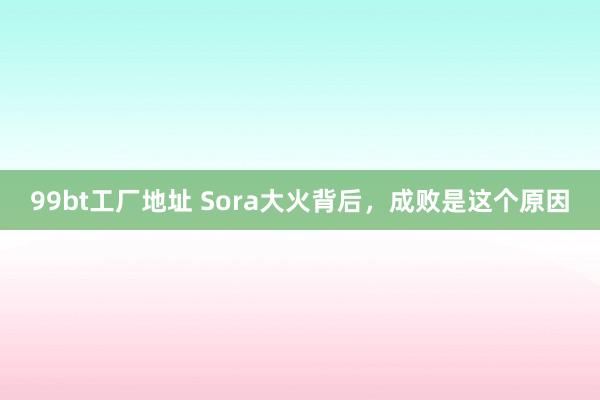 99bt工厂地址 Sora大火背后，成败是这个原因