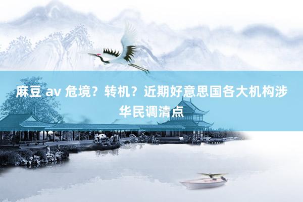 麻豆 av 危境？转机？近期好意思国各大机构涉华民调清点