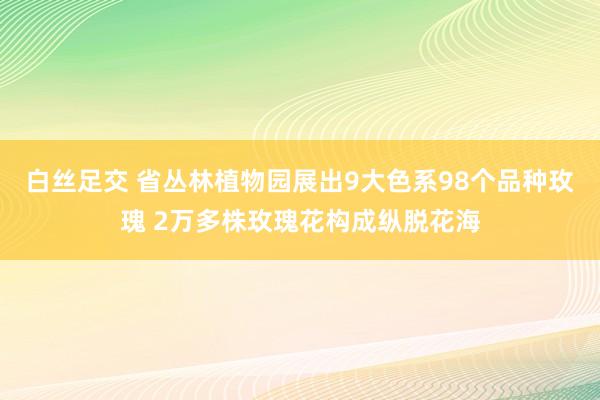 白丝足交 省丛林植物园展出9大色系98个品种玫瑰 2万多株玫瑰花构成纵脱花海