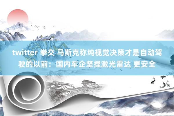 twitter 拳交 马斯克称纯视觉决策才是自动驾驶的以前：国内车企坚捏激光雷达 更安全
