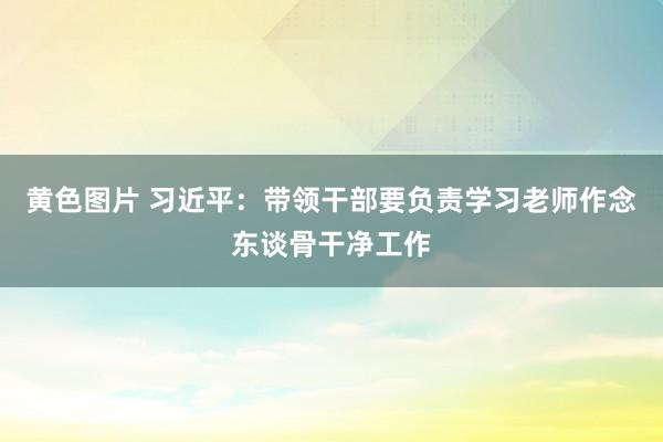 黄色图片 习近平：带领干部要负责学习老师作念东谈骨干净工作