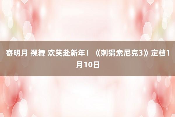 寄明月 裸舞 欢笑赴新年！《刺猬索尼克3》定档1月10日