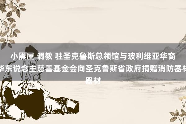 小黑屋 调教 驻圣克鲁斯总领馆与玻利维亚华裔华东说念主慈善基金会向圣克鲁斯省政府捐赠消防器材