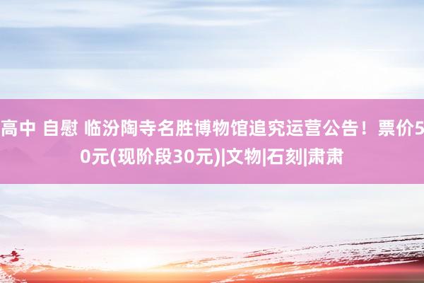 高中 自慰 临汾陶寺名胜博物馆追究运营公告！票价50元(现阶段30元)|文物|石刻|肃肃