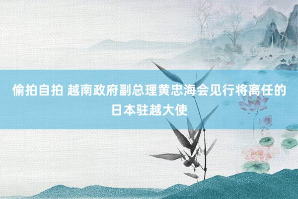 偷拍自拍 越南政府副总理黄忠海会见行将离任的日本驻越大使