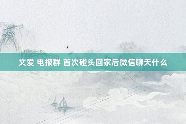 文爱 电报群 首次碰头回家后微信聊天什么