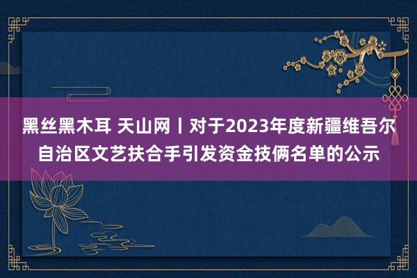 黑丝黑木耳 天山网丨对于2023年度新疆维吾尔自治区文艺扶合手引发资金技俩名单的公示