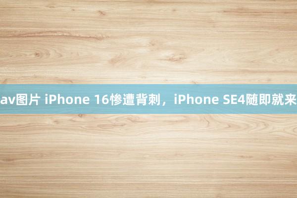 av图片 iPhone 16惨遭背刺，iPhone SE4随即就来