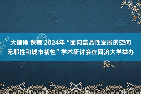 大摆锤 裸舞 2024年“面向高品性发展的空间无邪性和城市韧性”学术研讨会在同济大学举办