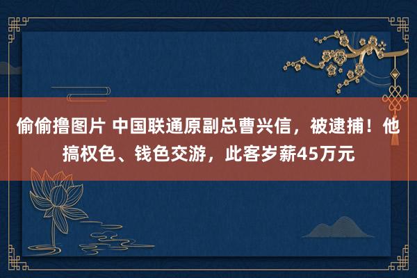 偷偷撸图片 中国联通原副总曹兴信，被逮捕！他搞权色、钱色交游，此客岁薪45万元