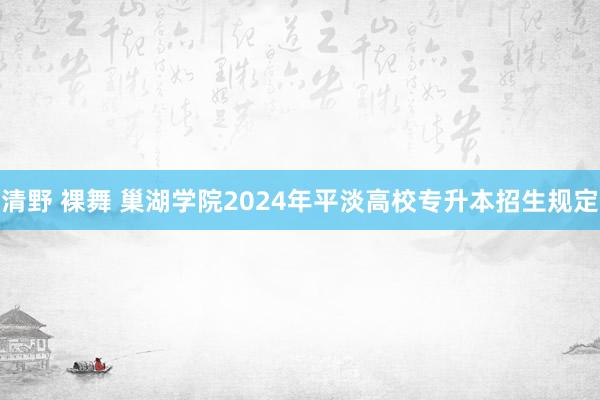清野 裸舞 巢湖学院2024年平淡高校专升本招生规定