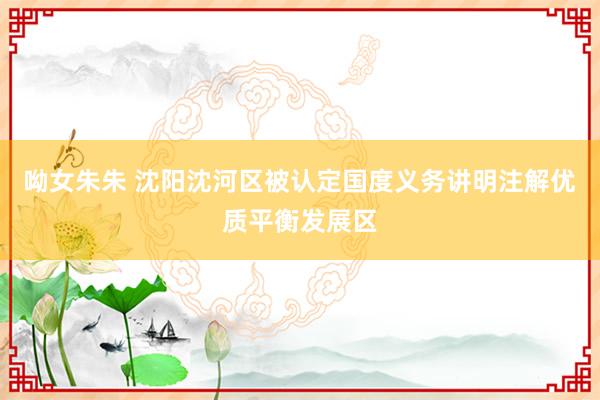 呦女朱朱 沈阳沈河区被认定国度义务讲明注解优质平衡发展区