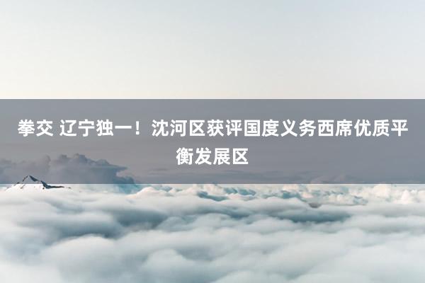 拳交 辽宁独一！沈河区获评国度义务西席优质平衡发展区