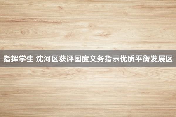 指挥学生 沈河区获评国度义务指示优质平衡发展区