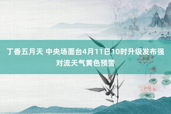 丁香五月天 中央场面台4月11日10时升级发布强对流天气黄色预警