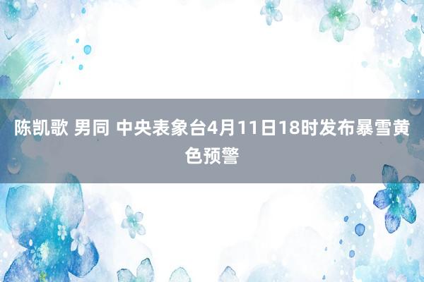 陈凯歌 男同 中央表象台4月11日18时发布暴雪黄色预警