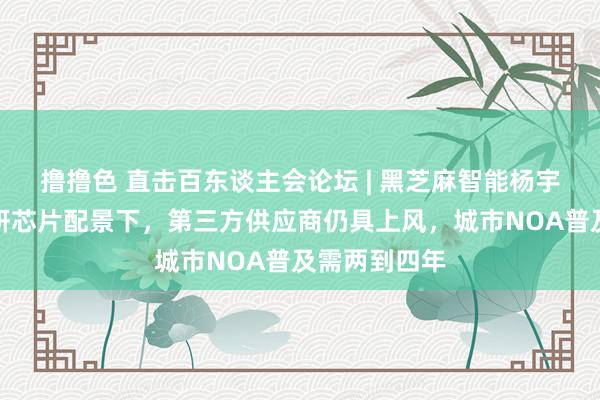撸撸色 直击百东谈主会论坛 | 黑芝麻智能杨宇欣：车企自研芯片配景下，第三方供应商仍具上风，城市NOA普及需两到四年