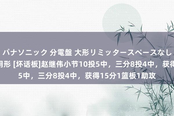 パナソニック 分電盤 大形リミッタースペースなし 露出・半埋込両用形 [坏话板]赵继伟小节10投5中，三分8投4中，获得15分1篮板1助攻