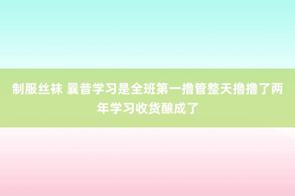 制服丝袜 曩昔学习是全班第一撸管整天撸撸了两年学习收货酿成了