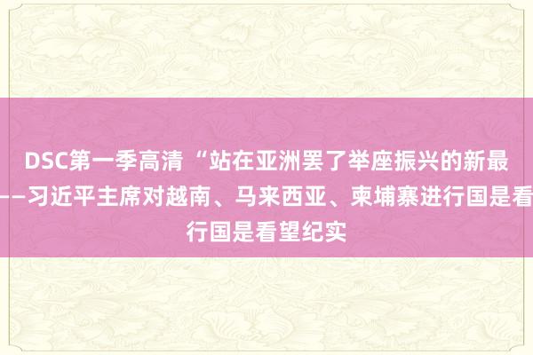 DSC第一季高清 “站在亚洲罢了举座振兴的新最先上”——习近平主席对越南、马来西亚、柬埔寨进行国是看望纪实