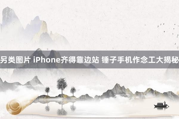 另类图片 iPhone齐得靠边站 锤子手机作念工大揭秘