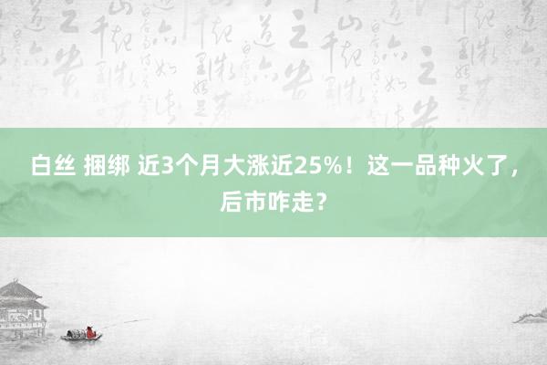 白丝 捆绑 近3个月大涨近25%！这一品种火了，后市咋走？