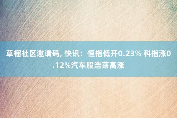 草榴社区邀请码， 快讯：恒指低开0.23% 科指涨0.12%汽车股浩荡高涨