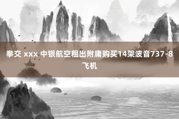拳交 xxx 中银航空租出附庸购买14架波音737-8飞机
