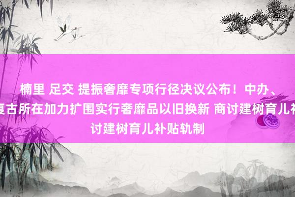 楠里 足交 提振奢靡专项行径决议公布！中办、国办：复古所在加力扩围实行奢靡品以旧换新 商讨建树育儿补贴轨制