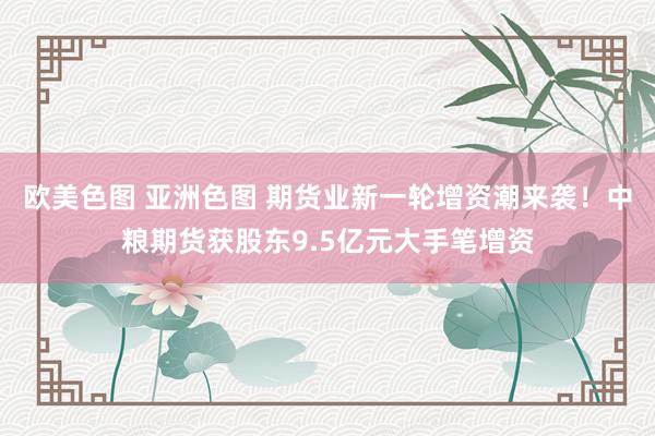 欧美色图 亚洲色图 期货业新一轮增资潮来袭！中粮期货获股东9.5亿元大手笔增资