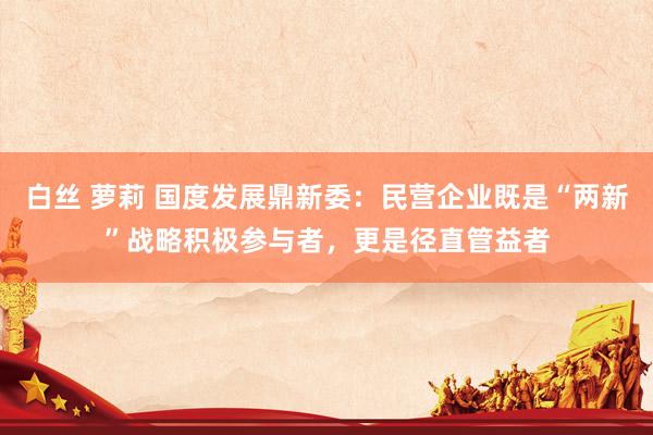白丝 萝莉 国度发展鼎新委：民营企业既是“两新”战略积极参与者，更是径直管益者