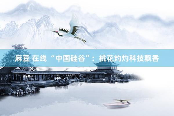 麻豆 在线 “中国硅谷”：桃花灼灼科技飘香
