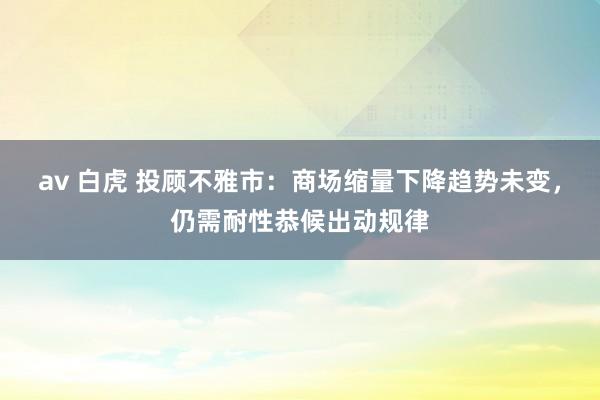 av 白虎 投顾不雅市：商场缩量下降趋势未变，仍需耐性恭候出动规律